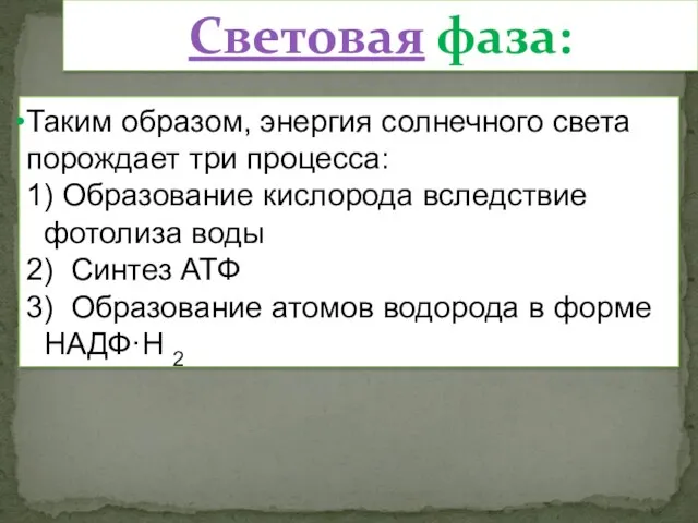 Таким образом, энергия солнечного света порождает три процесса: 1) Образование кислорода вследствие