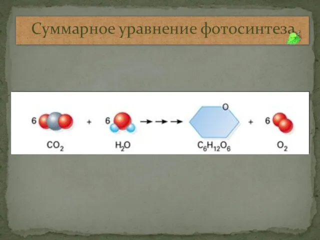 Суммарное уравнение фотосинтеза