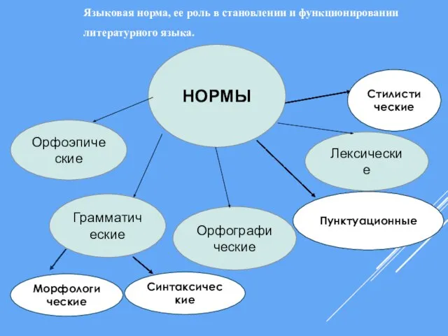 Языковая норма, ее роль в становлении и функционировании литературного языка. НОРМЫ Орфоэпические