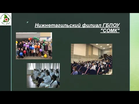 Нижнетагильский филиал ГБПОУ "СОМК"