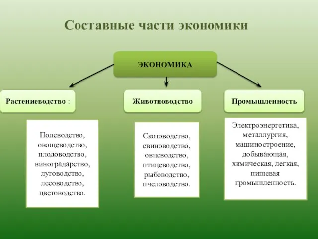 Составные части экономики ЭКОНОМИКА Растениеводство : Животноводство Промышленность Электроэнергетика, металлургия, машиностроение, добывающая,