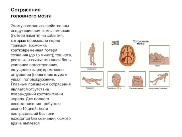 Сотрясение головного мозга Этому состоянию свойственны следующие симптомы: амнезия (потеря памяти) на