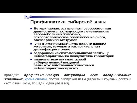 проводят профилактическую вакцинацию всех восприимчивых животных, кроме свиней, против сибирской язвы (взрослый