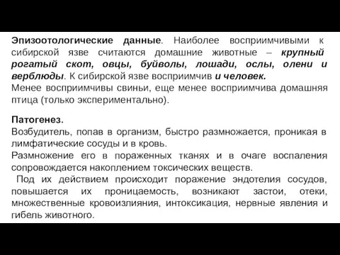 Патогенез. Возбудитель, попав в организм, быстро размножается, проникая в лимфатические сосуды и