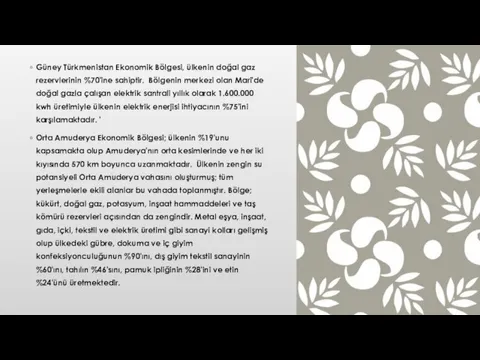 Güney Türkmenistan Ekonomik Bölgesi, ülkenin doğal gaz rezervlerinin %70'ine sahiptir. Bölgenin merkezi