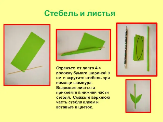 Стебель и листья Отрежьте от листа А 4 полоску бумаги шириной 9