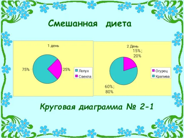 Смешанная диета Круговая диаграмма № 2-1