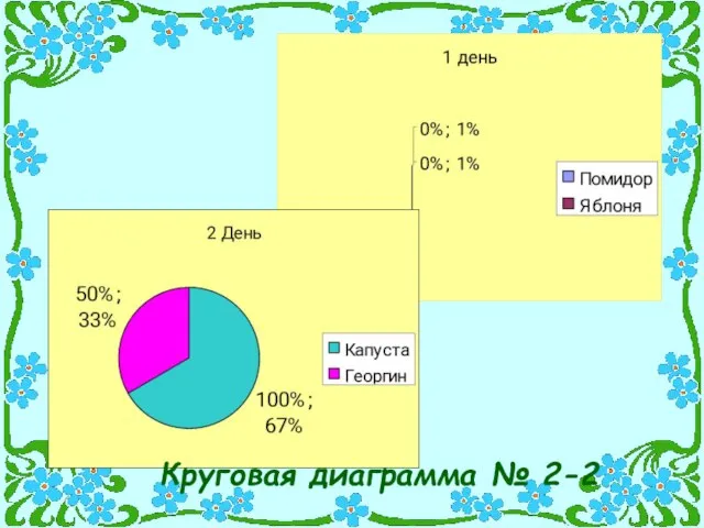 Круговая диаграмма № 2-2