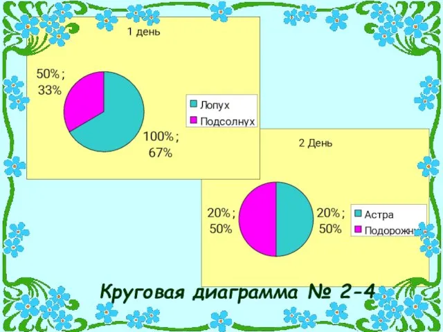 Круговая диаграмма № 2-4