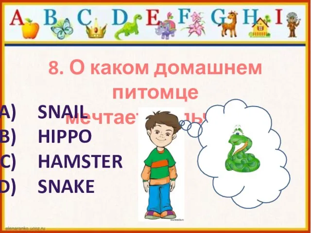 8. О каком домашнем питомце мечтает мальчик? SNAIL HIPPO HAMSTER SNAKE