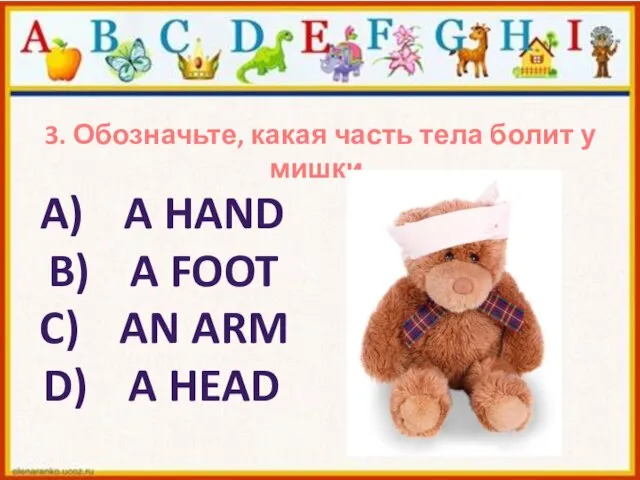 3. Обозначьте, какая часть тела болит у мишки. A HAND A FOOT AN ARM A HEAD