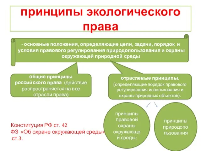 принципы экологического права Конституция РФ ст. 42 ФЗ «Об охране окружающей среды»