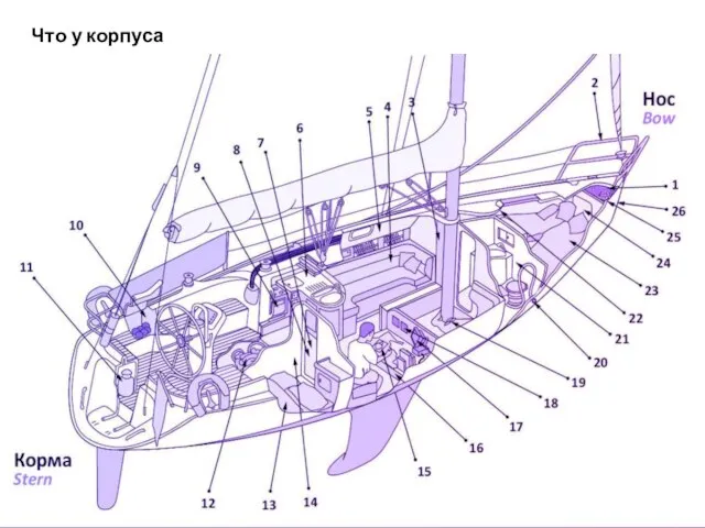 Что у корпуса внутри…