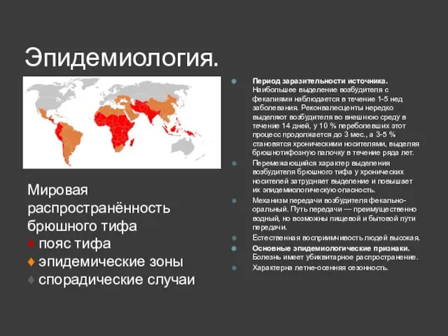 Эпидемиология. Мировая распространённость брюшного тифа ♦ пояс тифа ♦ эпидемические зоны ♦