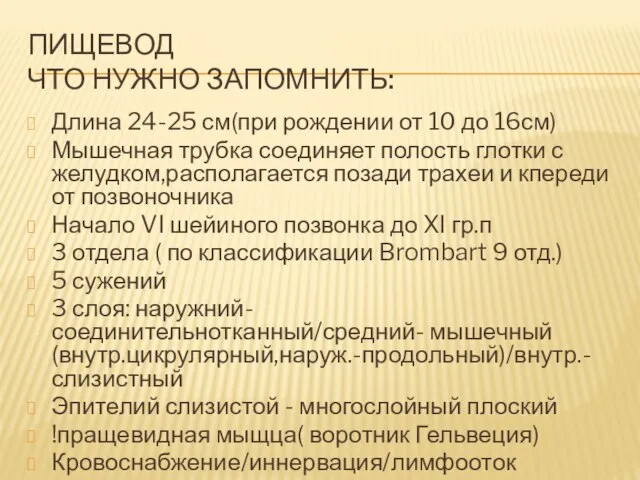 ПИЩЕВОД ЧТО НУЖНО ЗАПОМНИТЬ: Длина 24-25 см(при рождении от 10 до 16см)