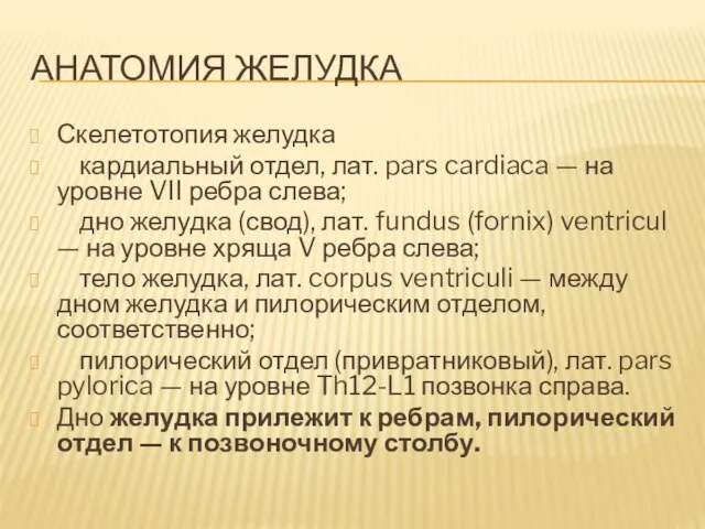 АНАТОМИЯ ЖЕЛУДКА Скелетотопия желудка кардиальный отдел, лат. pars cardiaca — на уровне