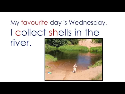 My favourite day is Wednesday. I collect shells in the river.