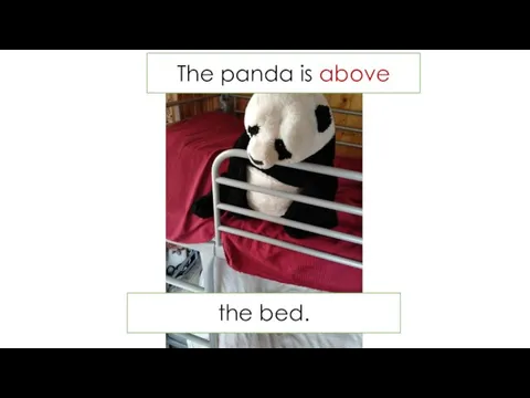 The panda is above the bed.