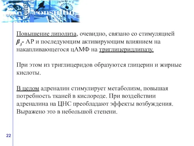 Повышение липолиза, очевидно, связано со стимуляцией β3- АР и последующим активирующим влиянием