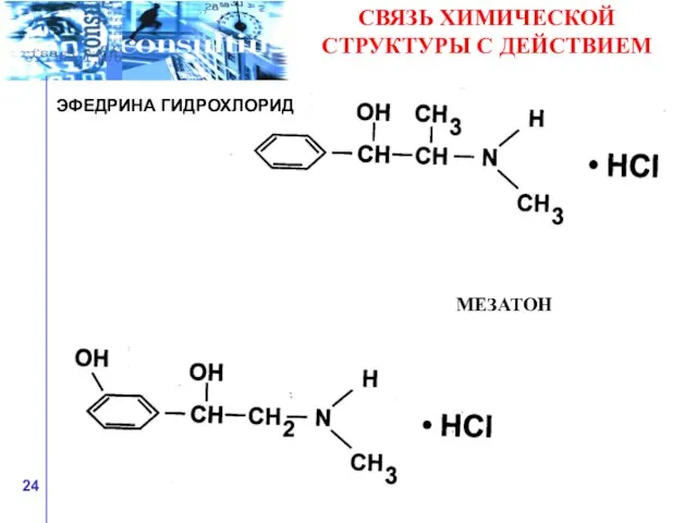 СВЯЗЬ ХИМИЧЕСКОЙ СТРУКТУРЫ С ДЕЙСТВИЕМ ЭФЕДРИНА ГИДРОХЛОРИД