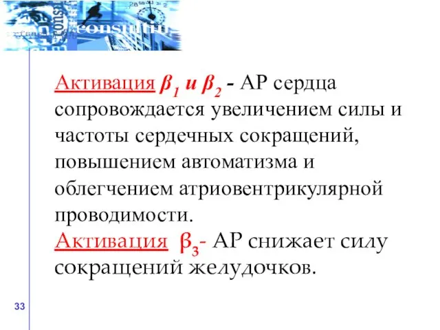 Активация β1 и β2 - АР сердца сопровождается увеличением силы и частоты