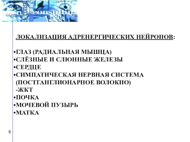 ЛОКАЛИЗАЦИЯ АДРЕНЕРГИЧЕСКИХ НЕЙРОНОВ: ГЛАЗ (РАДИАЛЬНАЯ МЫШЦА) СЛЁЗНЫЕ И СЛЮННЫЕ ЖЕЛЕЗЫ СЕРДЦЕ СИМПАТИЧЕСКАЯ