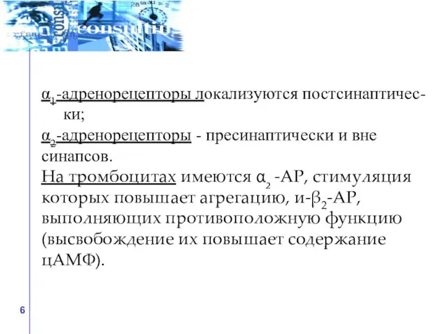 α1-адренорецепторы локализуются постсинаптичес- ки; α2-адренорецепторы - пресинаптически и вне синапсов. На тромбоцитах