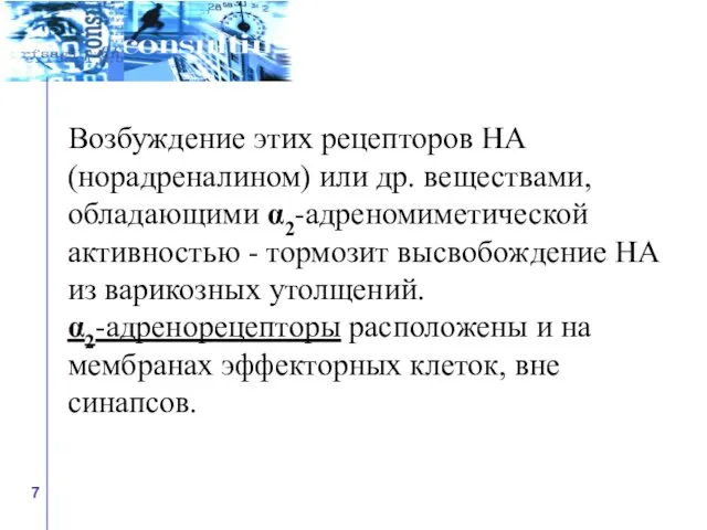 Возбуждение этих рецепторов НА (норадреналином) или др. веществами, обладающими α2-адреномиметической активностью -