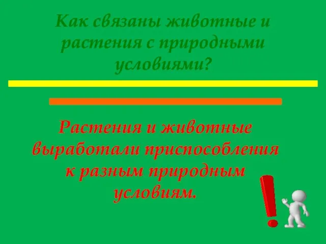 Как связаны животные и растения с природными условиями? Растения и животные выработали