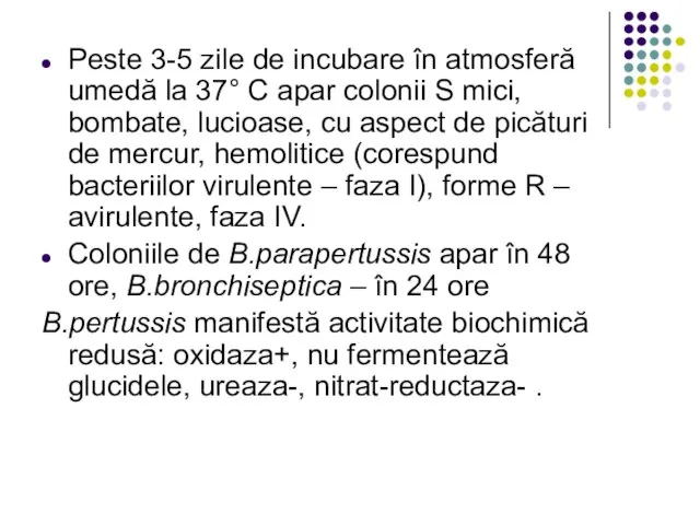 Peste 3-5 zile de incubare în atmosferă umedă la 37° C apar