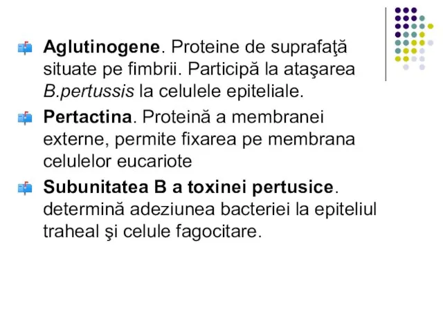 Aglutinogene. Proteine de suprafaţă situate pe fimbrii. Participă la ataşarea B.pertussis la