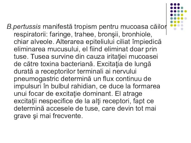 B.pertussis manifestă tropism pentru mucoasa căilor respiratorii: faringe, trahee, bronşii, bronhiole, chiar