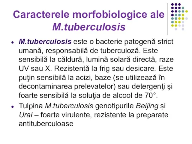 Caracterele morfobiologice ale M.tuberculosis M.tuberculosis este o bacterie patogenă strict umană, responsabilă