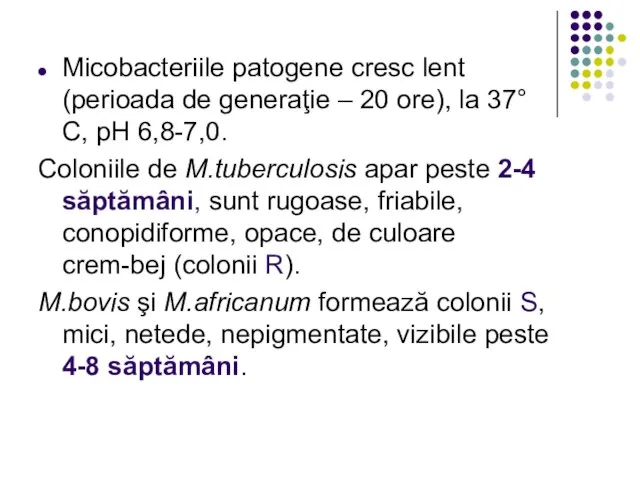 Micobacteriile patogene cresc lent (perioada de generaţie – 20 ore), la 37°C,