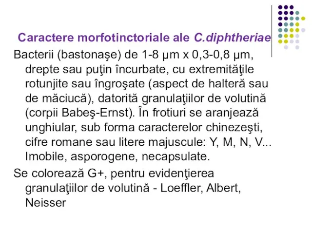 Caractere morfotinctoriale ale C.diphtheriae Bacterii (bastonaşe) de 1-8 µm x 0,3-0,8 µm,