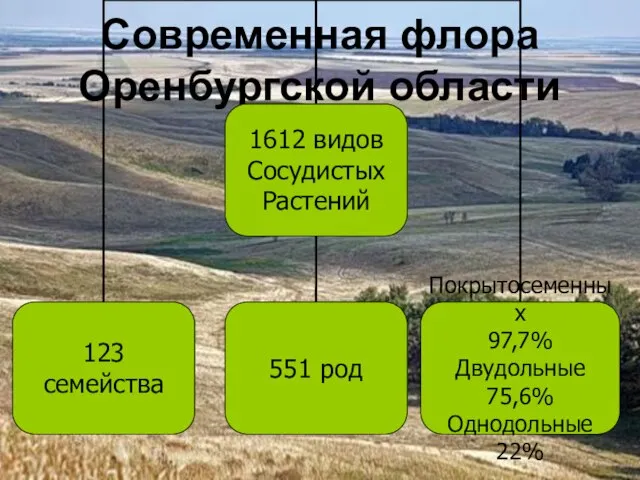 Современная флора Оренбургской области