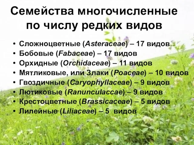 Семейства многочисленные по числу редких видов Сложноцветные (Asteraceae) – 17 видов Бобовые