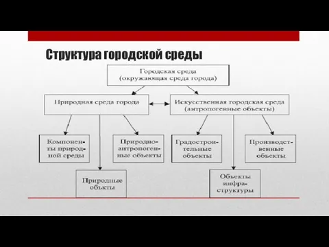 Структура городской среды