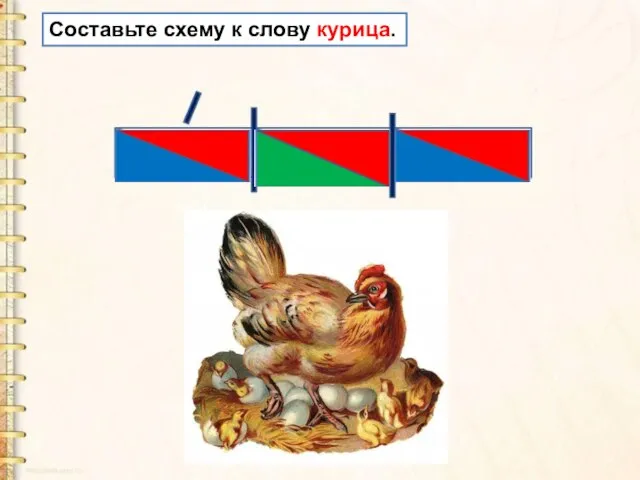 Составьте схему к слову курица.