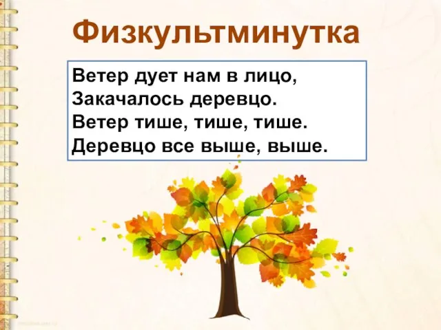 Физкультминутка Ветер дует нам в лицо, Закачалось деревцо. Ветер тише, тише, тише. Деревцо все выше, выше.