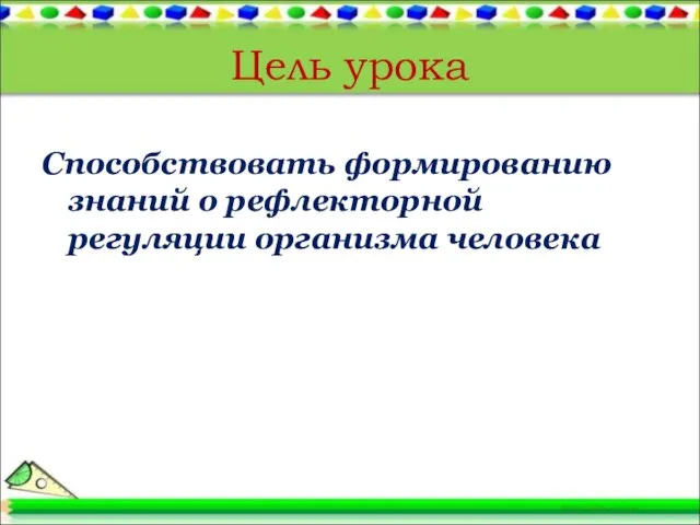 Цель урока Способствовать формированию знаний о рефлекторной регуляции организма человека