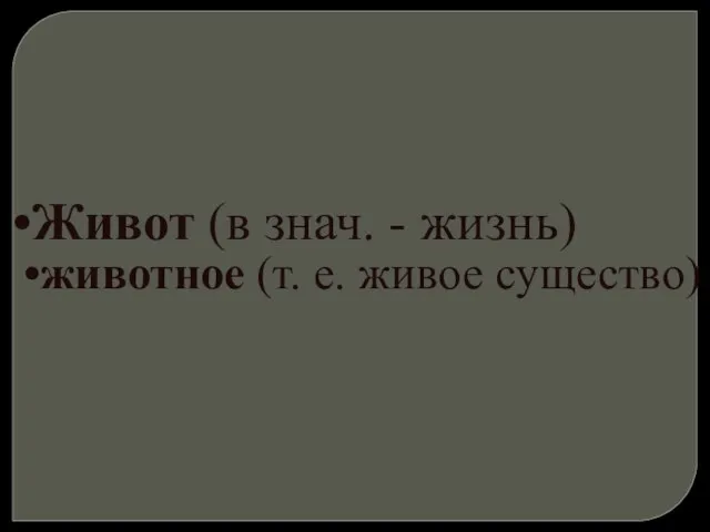 Живот (в знач. - жизнь) животное (т. е. живое существо)