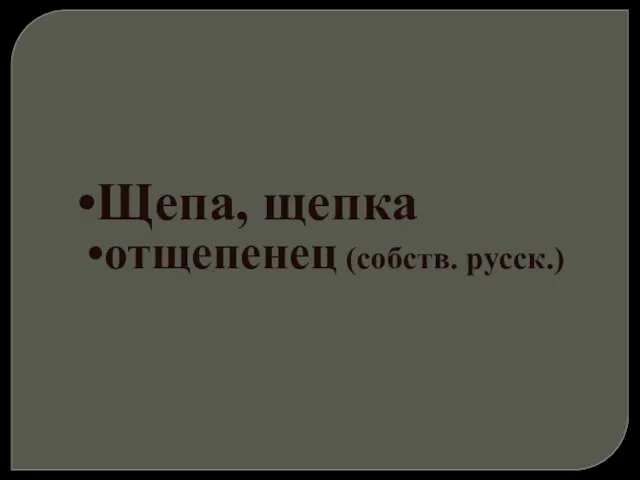 Щепа, щепка отщепенец (собств. русск.)