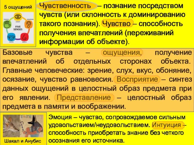 Чувственность – познание посредством чувств (или склонность к доминированию такого познания). Чувство