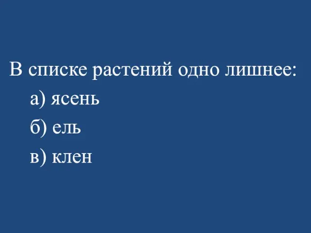 В списке растений одно лишнее: а) ясень б) ель в) клен