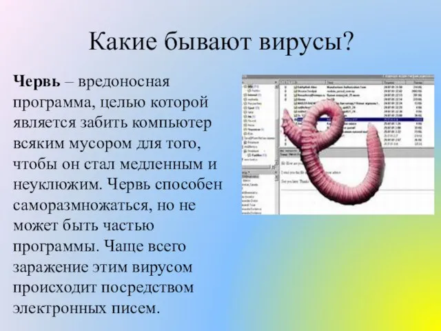 Какие бывают вирусы? Червь – вредоносная программа, целью которой является забить компьютер