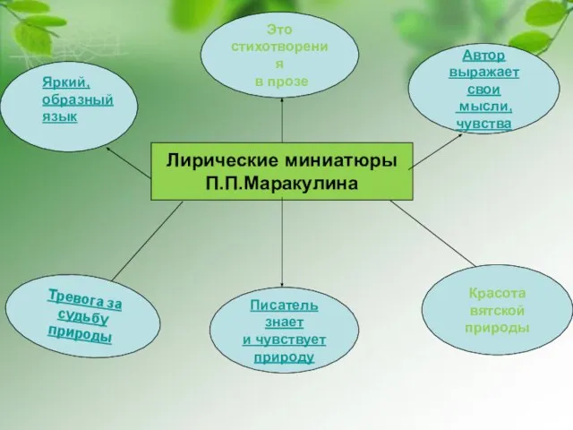 Писатель знает и чувствует природу Лирические миниатюры П.П.Маракулина Это стихотворения в прозе