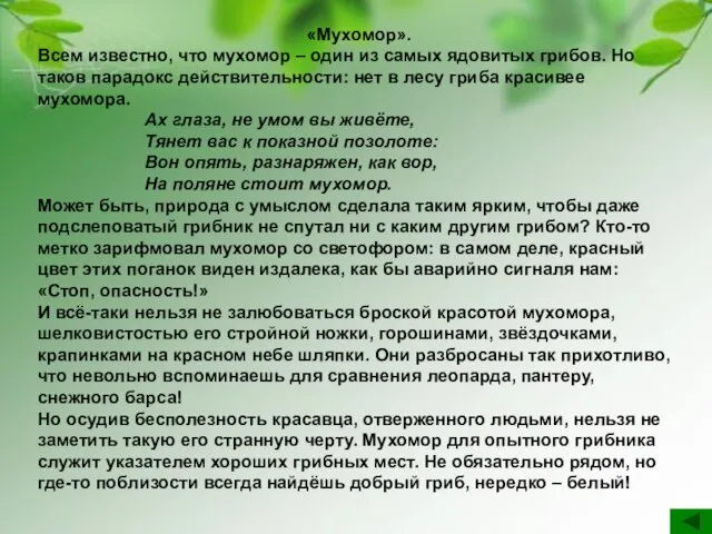 «Мухомор». Всем известно, что мухомор – один из самых ядовитых грибов. Но