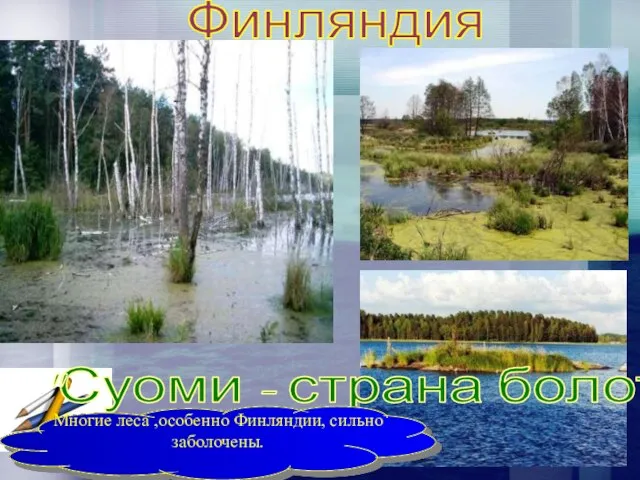 Финляндия "Суоми - страна болот" Многие леса ,особенно Финляндии, сильно заболочены.