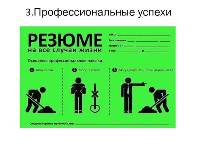 3.Профессиональные успехи